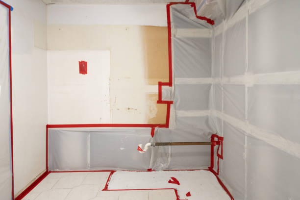 Professional Mold Removal in Leander, TX