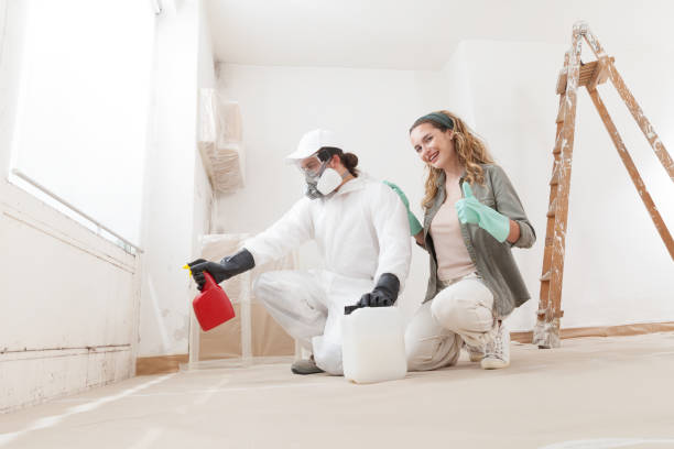 Mold Documentation for Insurance Claims in Leander, TX